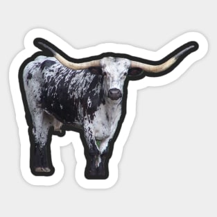 Texas Longhorn Sticker